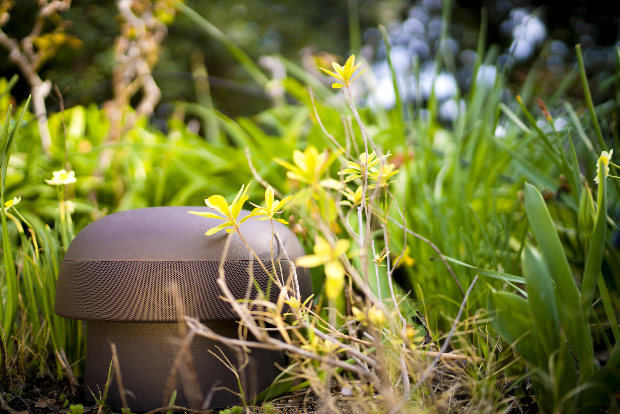 garden audio